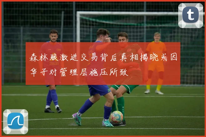 森林狼激进交易背后真相揭晓或因华子对管理层施压所致